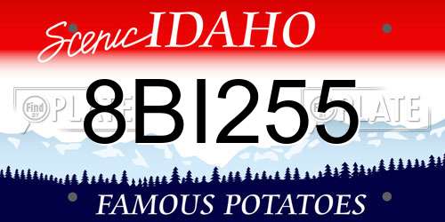 8BI255 Idaho License Plate