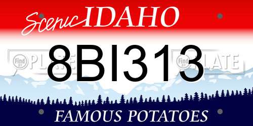 8BI313 Idaho License Plate