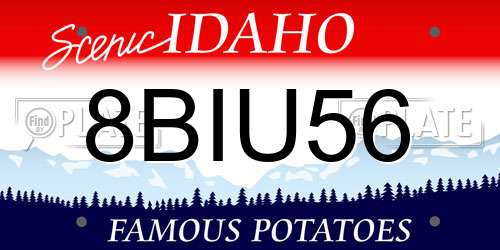 8BIU56 Idaho License Plate