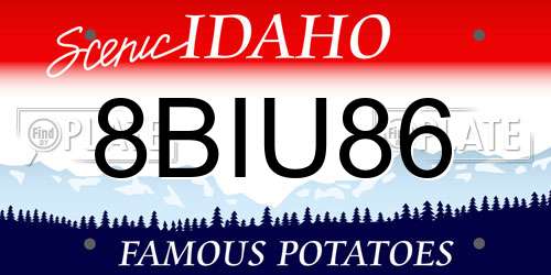 8BIU86 Idaho License Plate