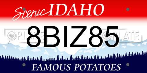 8BIZ85 Idaho License Plate