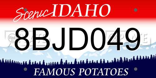 8BJD049 Idaho License Plate