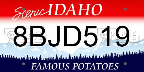8BJD519 Idaho License Plate
