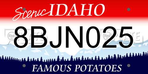 8BJN025 Idaho License Plate