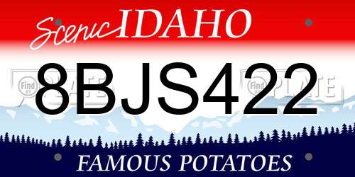 8BJS422 Idaho License Plate
