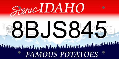 8BJS845 Idaho License Plate