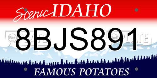 8BJS891 Idaho License Plate