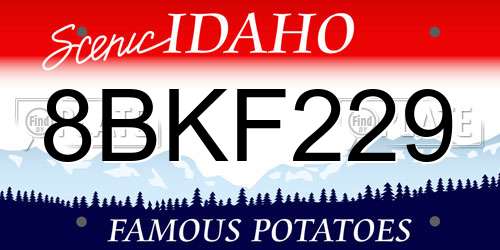 8BKF229 Idaho License Plate