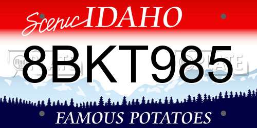 8BKT985 Idaho License Plate