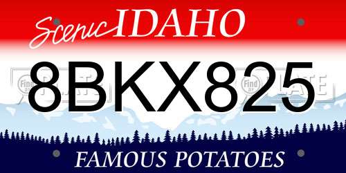8BKX825 Idaho License Plate