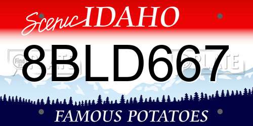 8BLD667 Idaho License Plate