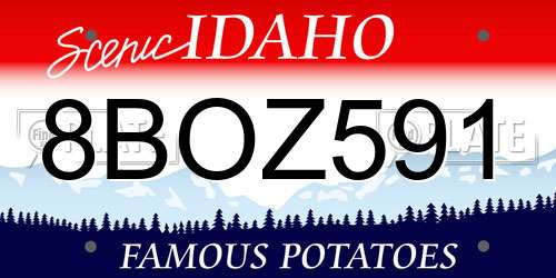 8BOZ591 Idaho License Plate