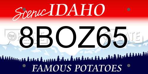 8BOZ65 Idaho License Plate
