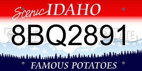 8BQ2891 Idaho License Plate