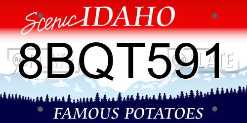 8BQT591 Idaho License Plate