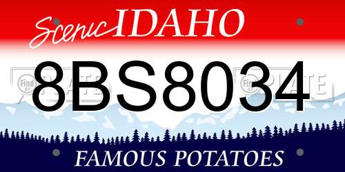 8BS8034 Idaho License Plate