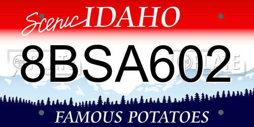 8BSA602 Idaho License Plate