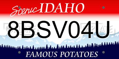 8BSV04U Idaho License Plate