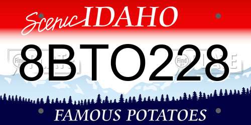 8BTO228 Idaho License Plate