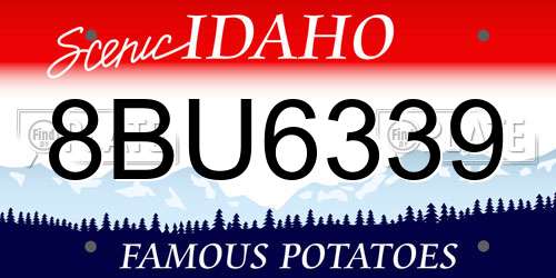 8BU6339 Idaho License Plate