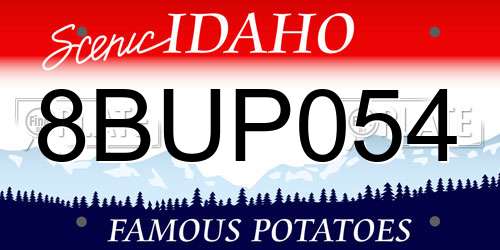 8BUP054 Idaho License Plate