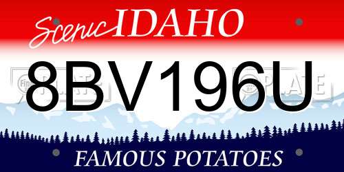 8BV196U Idaho License Plate