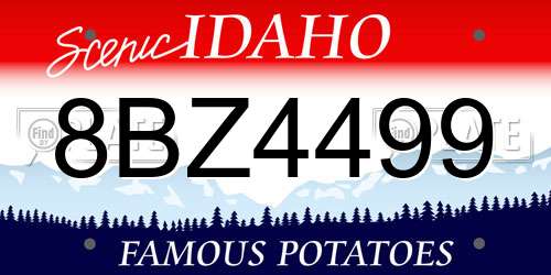 8BZ4499 Idaho License Plate