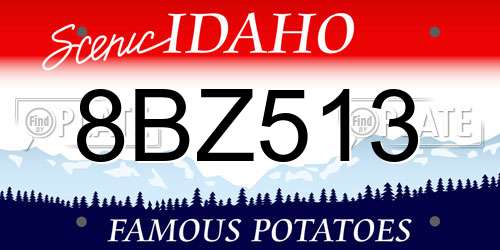 8BZ513 Idaho License Plate