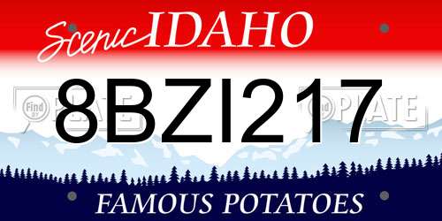 8BZI217 Idaho License Plate