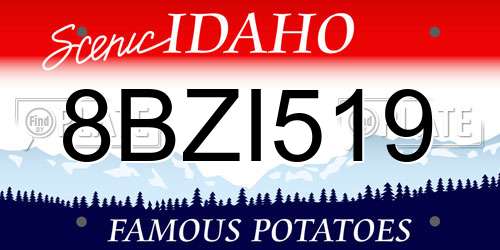 8BZI519 Idaho License Plate