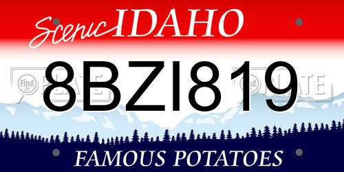 8BZI819 Idaho License Plate