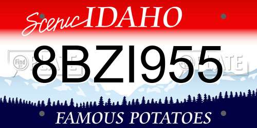 8BZI955 Idaho License Plate