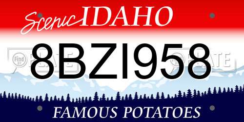 8BZI958 Idaho License Plate