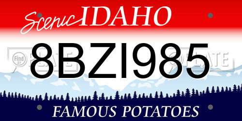 8BZI985 Idaho License Plate
