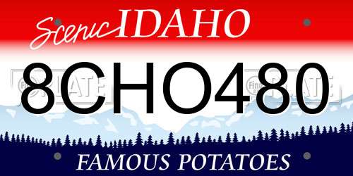 8CHO480 Idaho License Plate