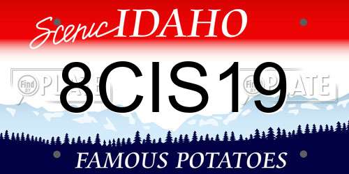 8CIS19 Idaho License Plate