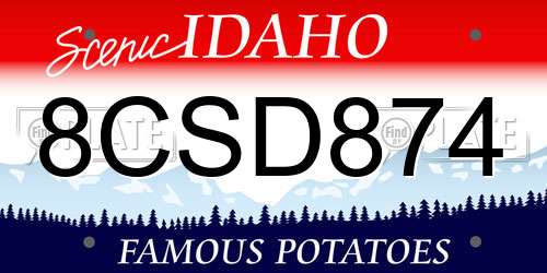 8CSD874 Idaho License Plate