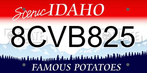 8CVB825 Idaho License Plate