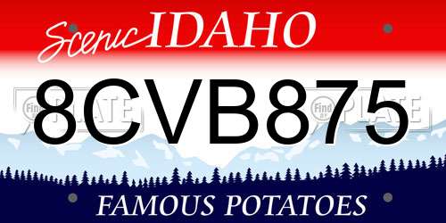 8CVB875 Idaho License Plate