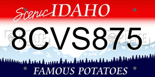 8CVS875 Idaho License Plate