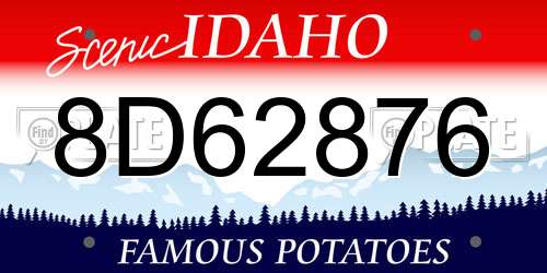 8D62876 Idaho License Plate