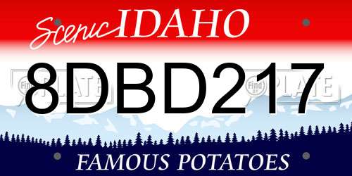 8DBD217 Idaho License Plate