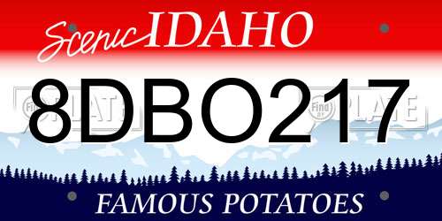 8DBO217 Idaho License Plate
