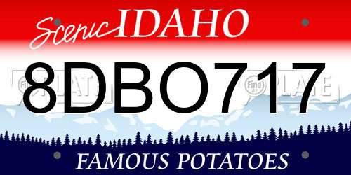 8DBO717 Idaho License Plate