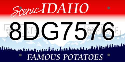 8DG7576 Idaho License Plate