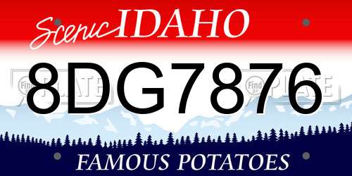 8DG7876 Idaho License Plate