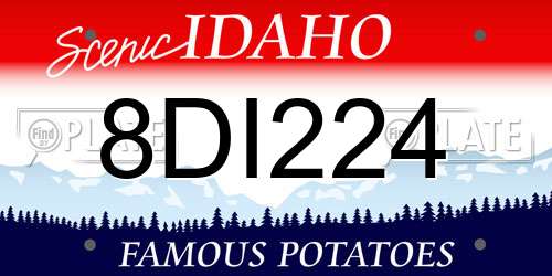 8DI224 Idaho License Plate