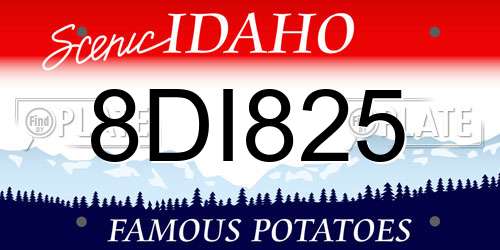 8DI825 Idaho License Plate