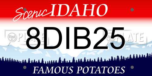 8DIB25 Idaho License Plate