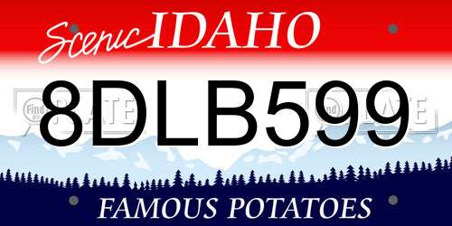 8DLB599 Idaho License Plate